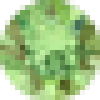 Cirkónia: Peridot 