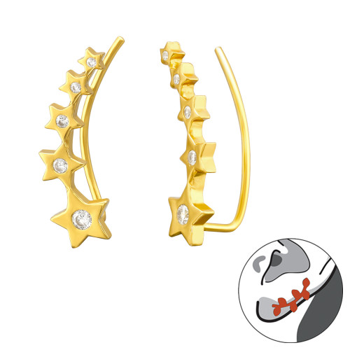 Csillagos cirkónia köves fültű, 24k aranyozott ezüst fülbevaló